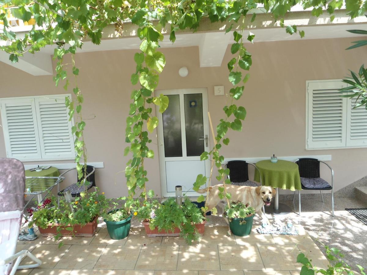 Guest House Zeljko Klaric Skradin Zewnętrze zdjęcie